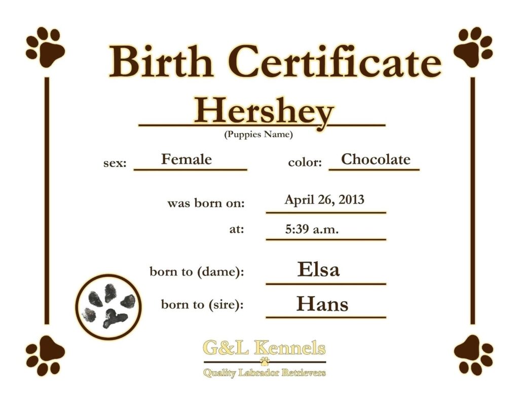 The Remarkable Dog Birth Certificate Free Template With Regard To Birth Certificate Templates For Word P Birth Certificate Template Dog Birth Birth Certificate