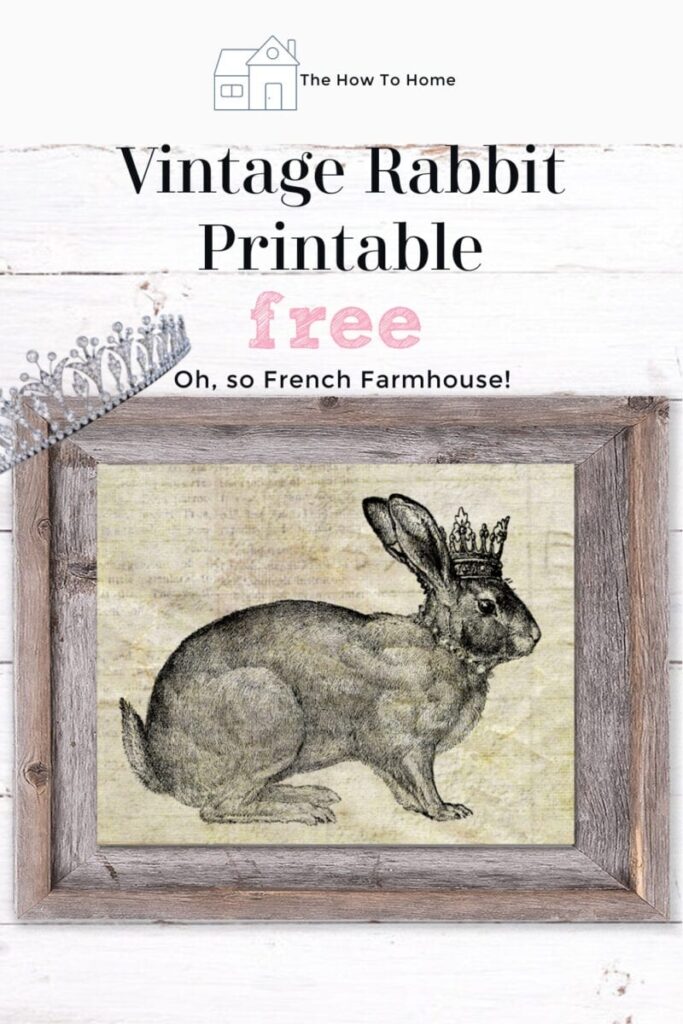 Vintage Rabbit Printable The How To Home