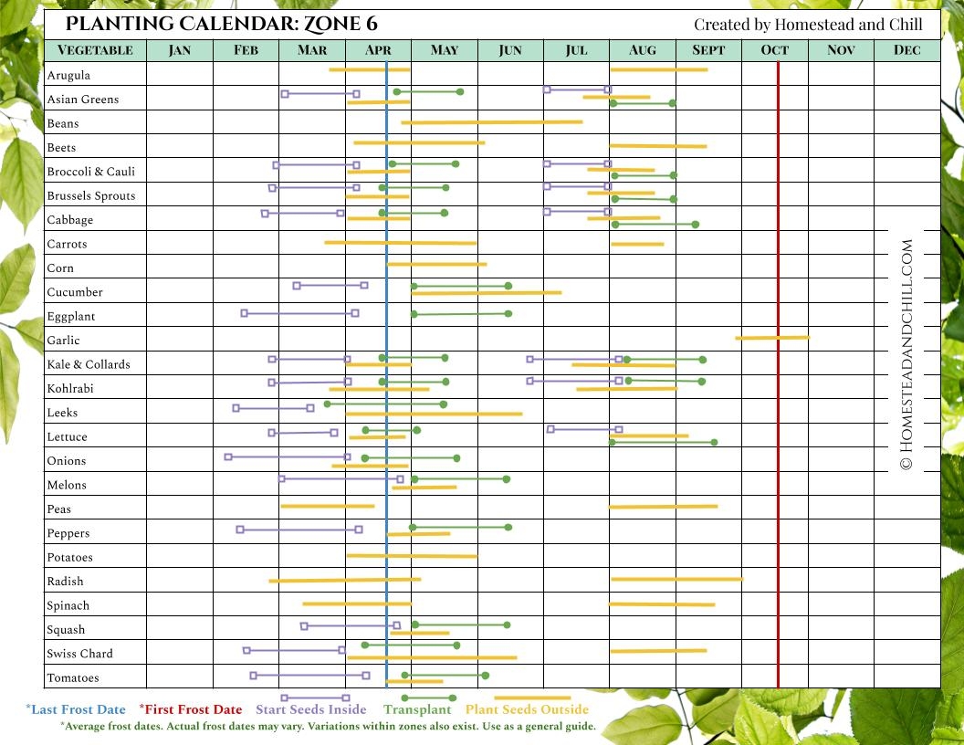 When To Start Seeds Garden Planting Calendars For Every Zone Gardzen