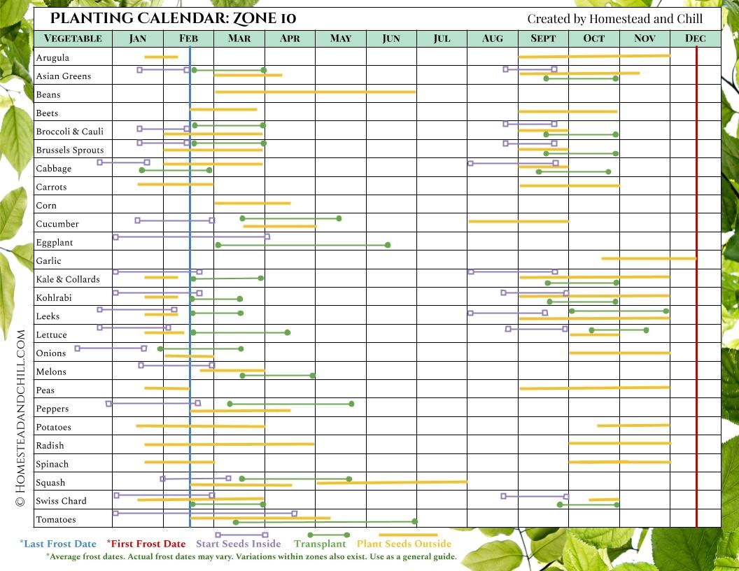 Printable Zone 9b Planting Schedule