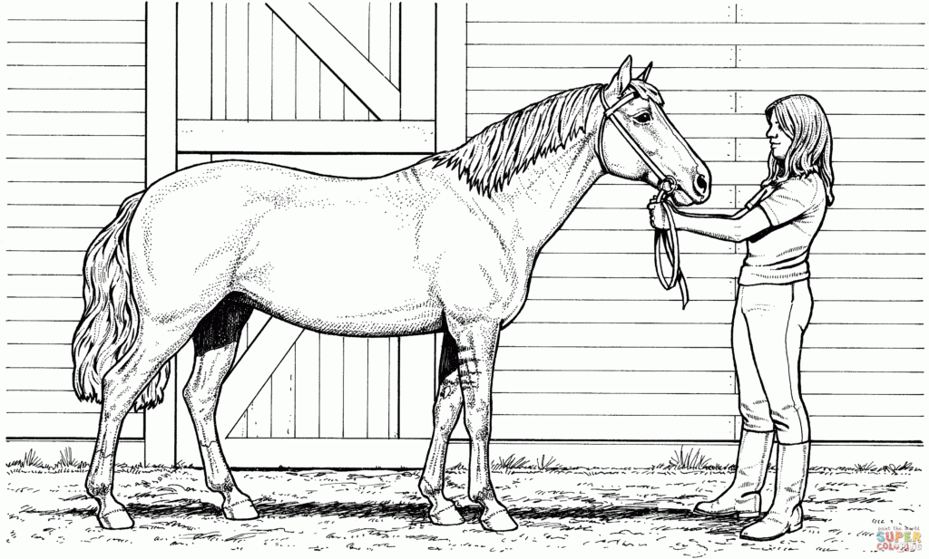 Woman And Mare Horse Coloring Page Free Printable Coloring Pages
