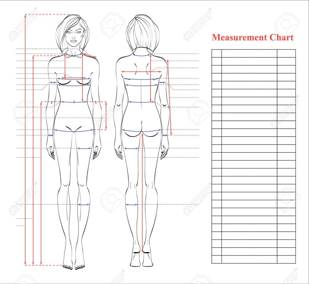 Woman Body Measurement Chart Scheme For Measurement Human Body For Sewing Clothes Female Figure Front And Back Views Template For Dieting Fitness Vector Royalty Free SVG Cliparts Vectors And Stock Illustration Image