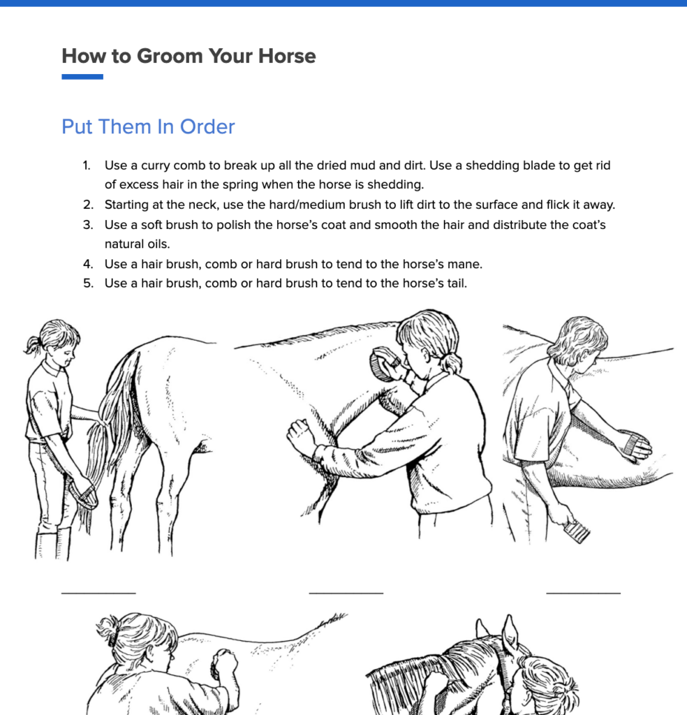 Worksheet How To Groom Your Horse White Oak Stables