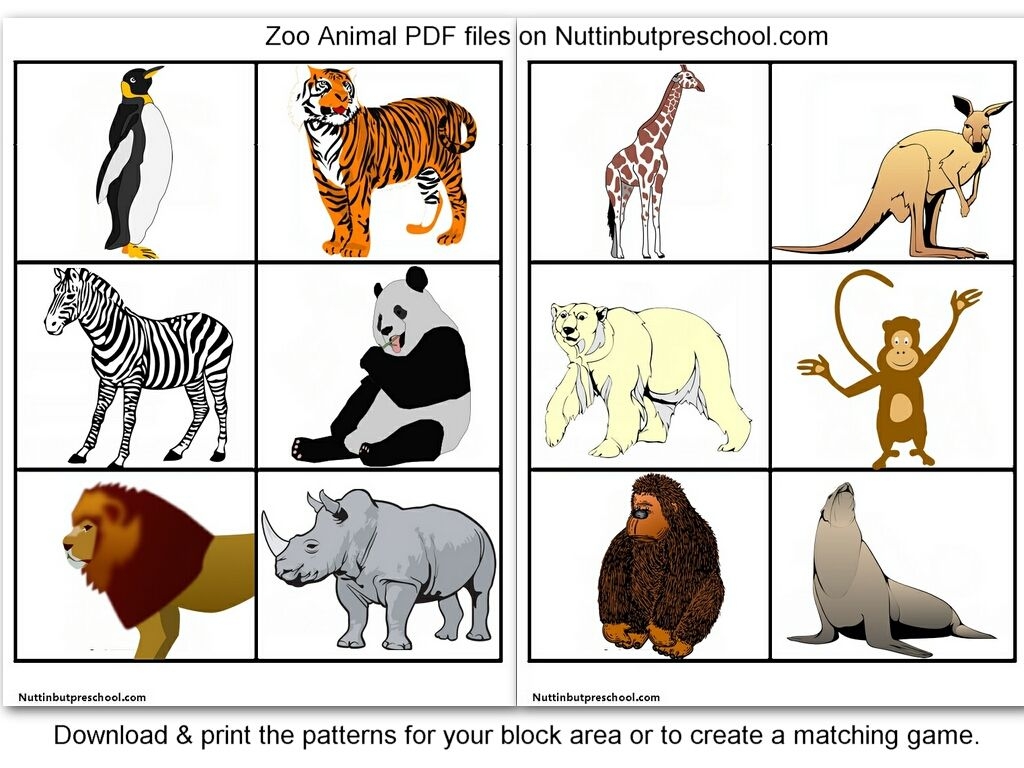 Zoo Animal Pictures For Flashcards Animal Pictures For Kids Animal Printables Zoo Animals