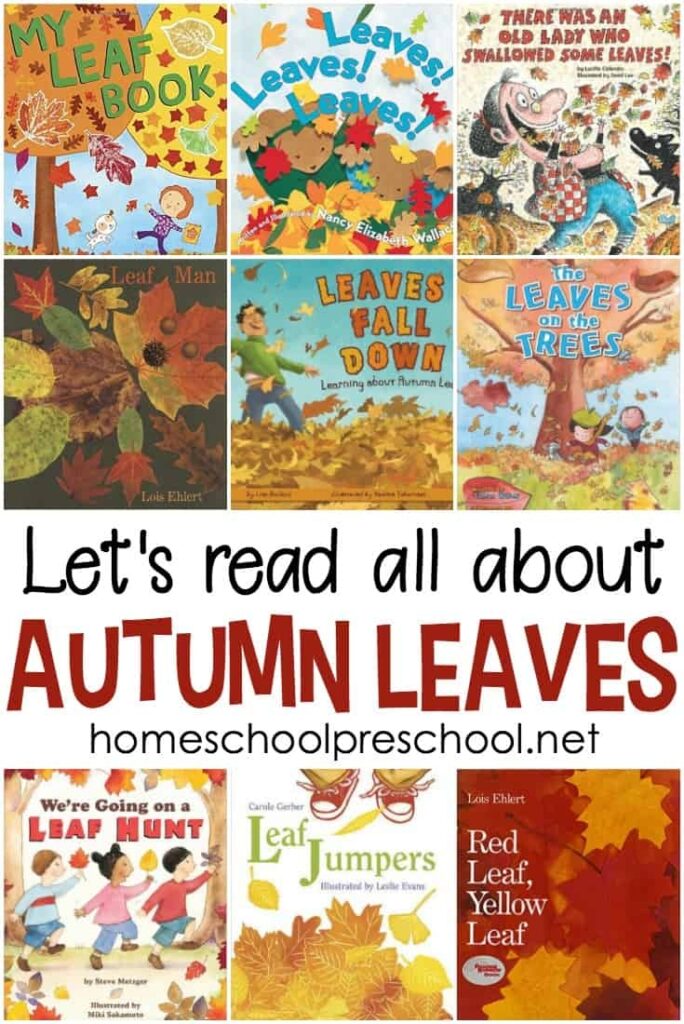 20 Of The Best Picture Books About Leaves For Preschool