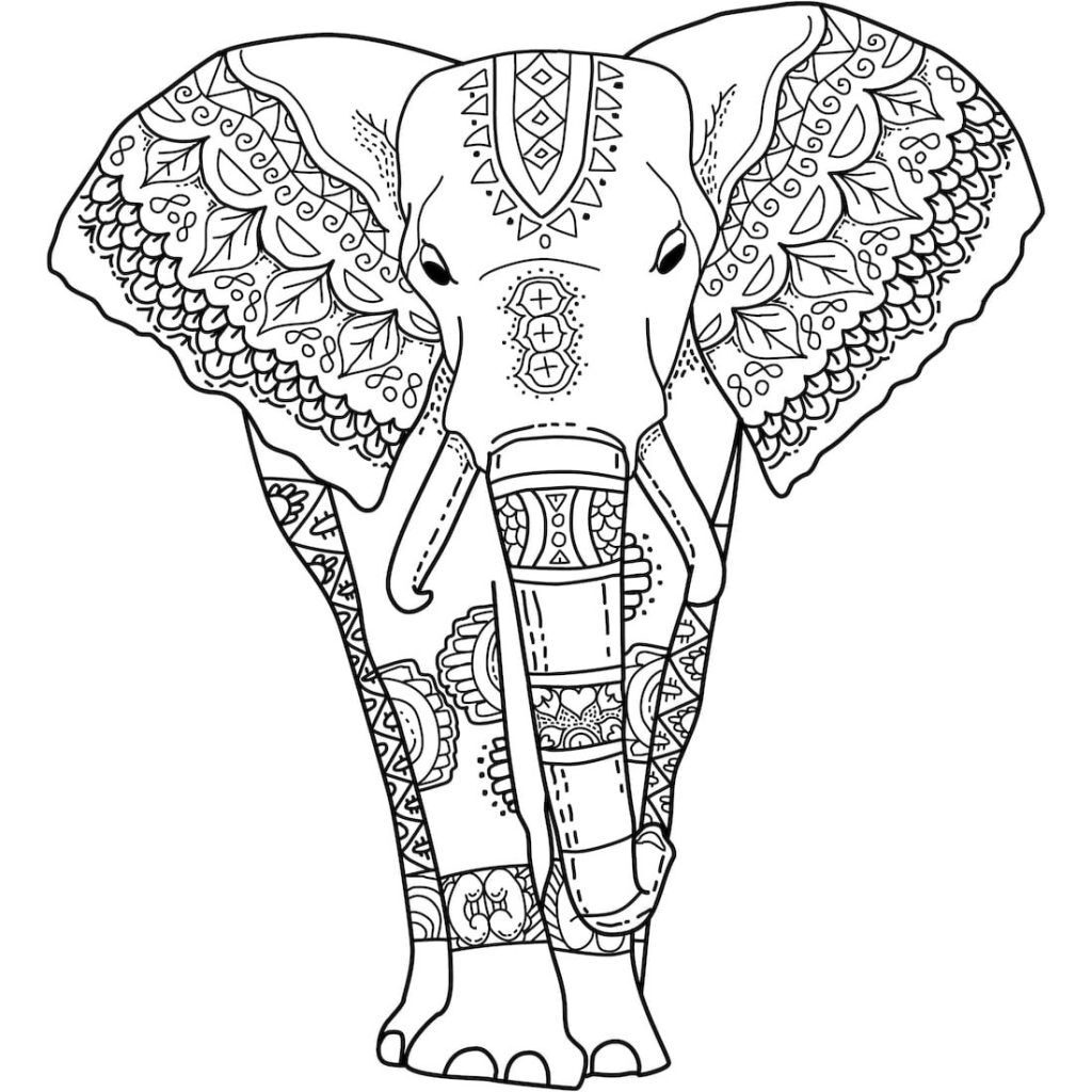 Elephant Coloring Pages For Adults Best Coloring Pages For Kids Elephant Coloring Page Elephant Colouring Pictures Animal Coloring Pages