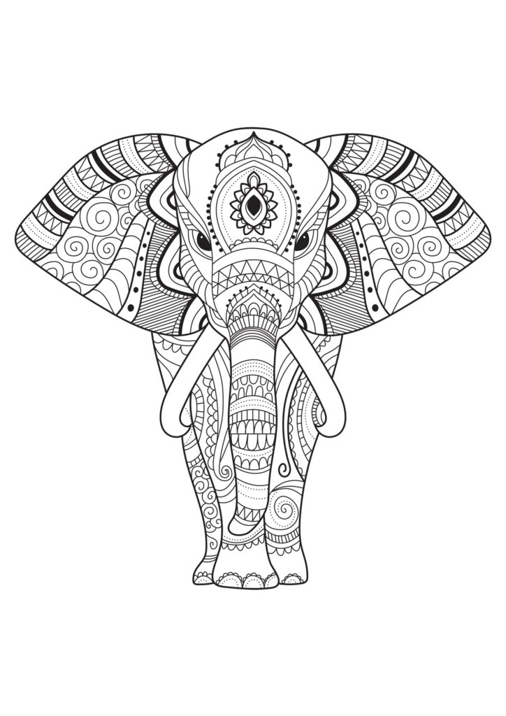 Elephant With Simple Patterns Elephants Adult Coloring Pages
