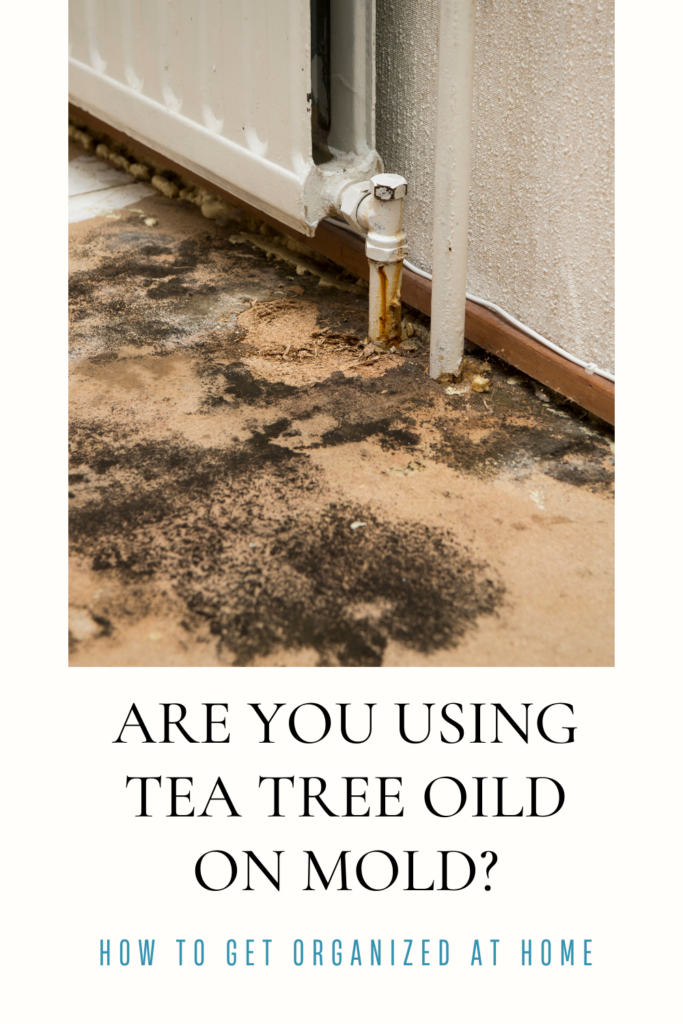 How To Use Tea Tree Oil To Kill Mold