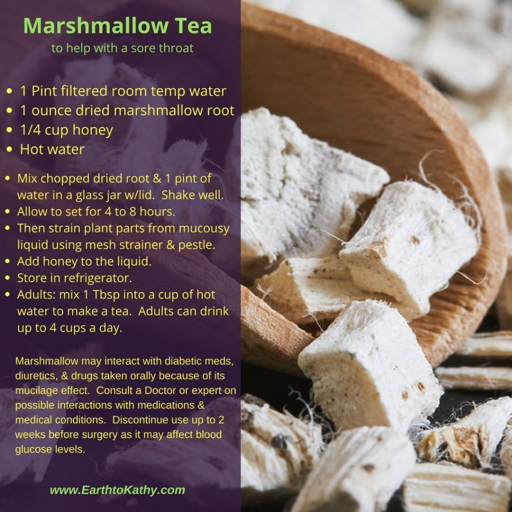 Marshmallow Tea For A Sore Throat Earth To Kathy