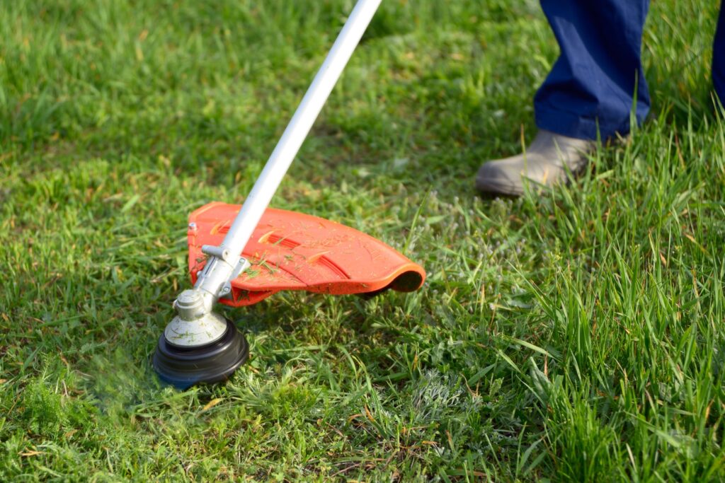 Must Have Lawn Care Tools Home Matters AHS