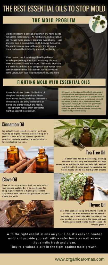 The Best Essential Oils To Stop Mold Organic Aromas 