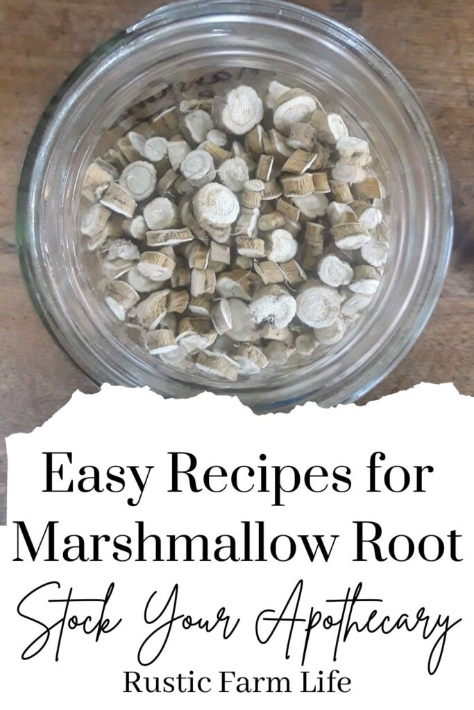 What Do You Do With Marshmallow Root Rustic Farm Life