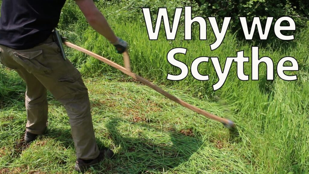 Why We Scythe For Cutting Grass Mulch And Feed YouTube