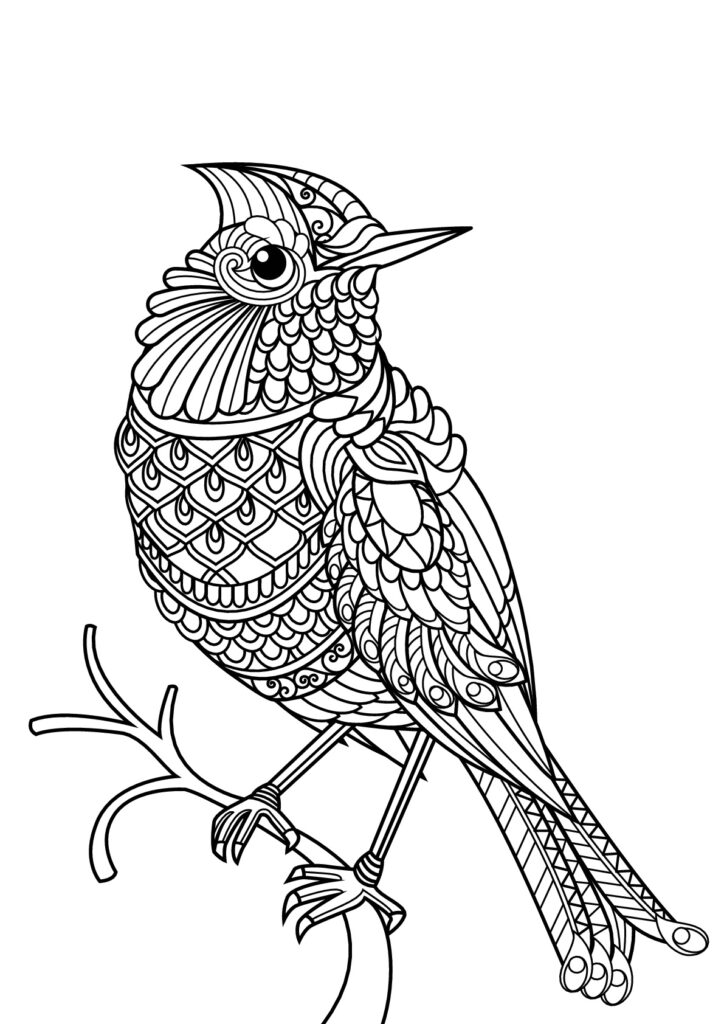 Free Book Bird Bird Coloring Pages For Adults