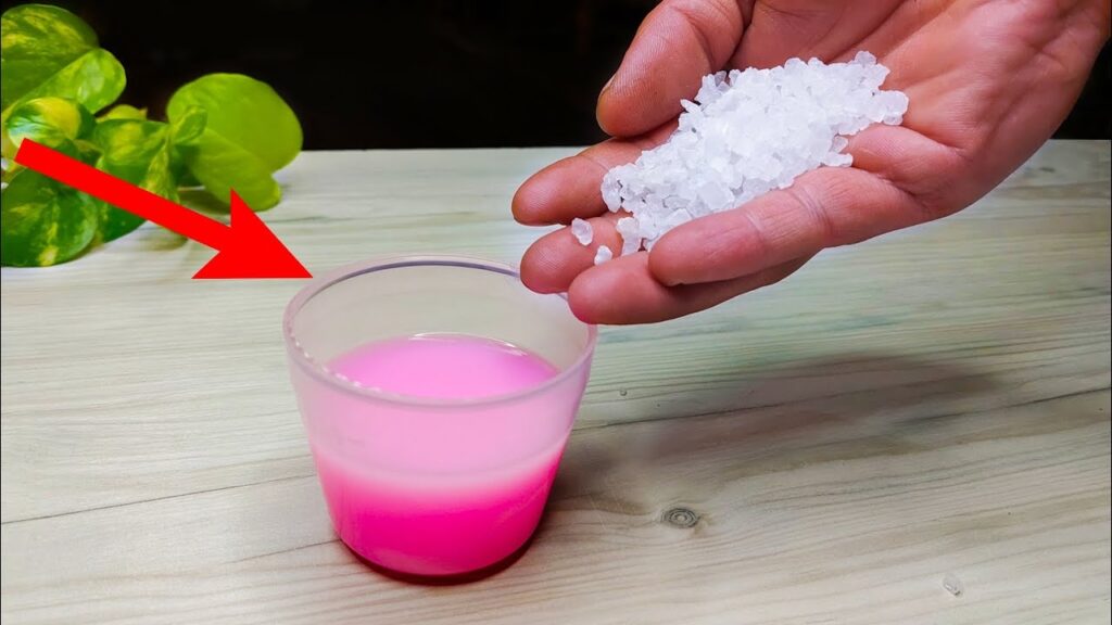 Mix Coarse Salt With Fabric Softener The Result Will Surprise You YouTube