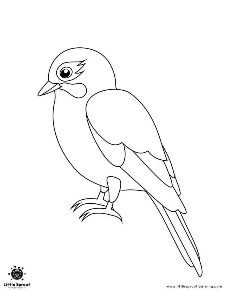 Bird Colouring Pages For Adults